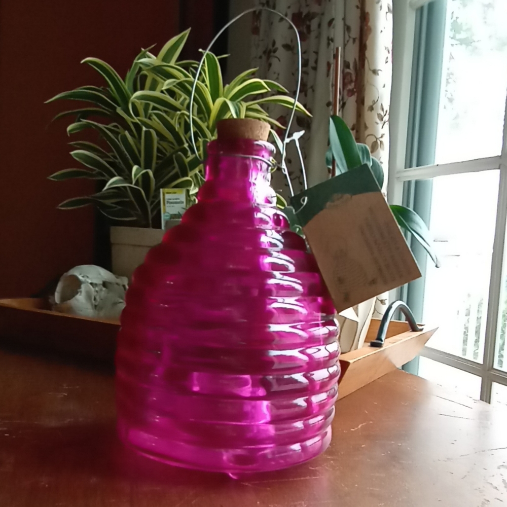 Beehive Wasp Trap